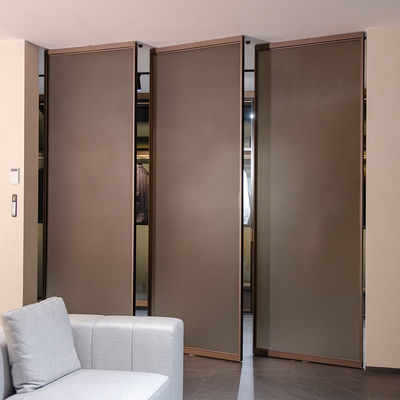 Entrance Pivot Aluminium Framed Internal Doors OEM