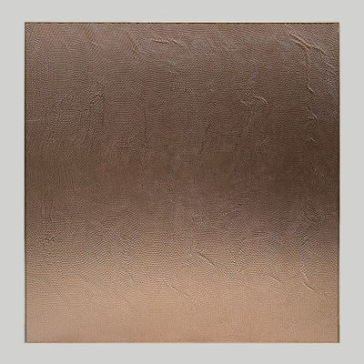 Gold Color Lacquer Aluminum Modular Cabinet Metal Finish Door